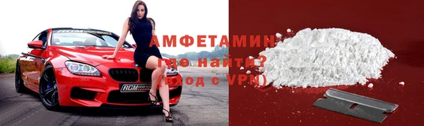 гидра Арсеньев