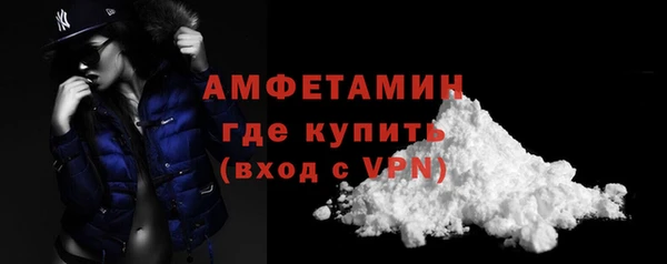 гидра Арсеньев
