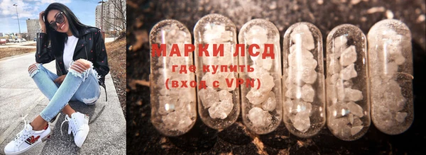 гидра Арсеньев