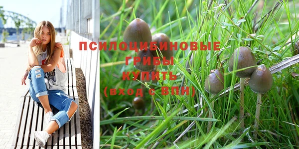 гидра Арсеньев