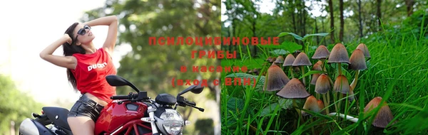 гашишное масло Балабаново