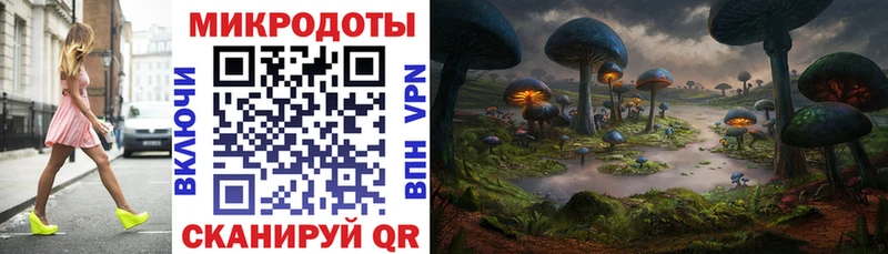 Псилоцибиновые грибы Psilocybine cubensis Макарьев